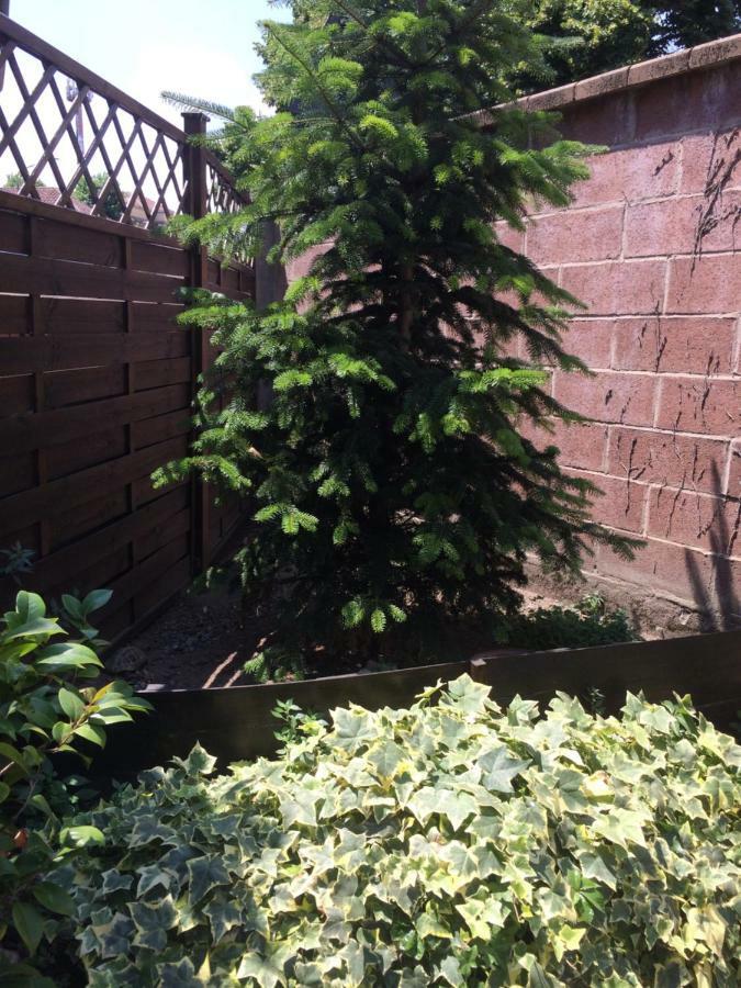 La Porta Nel Giardino Leilighet Asti Eksteriør bilde