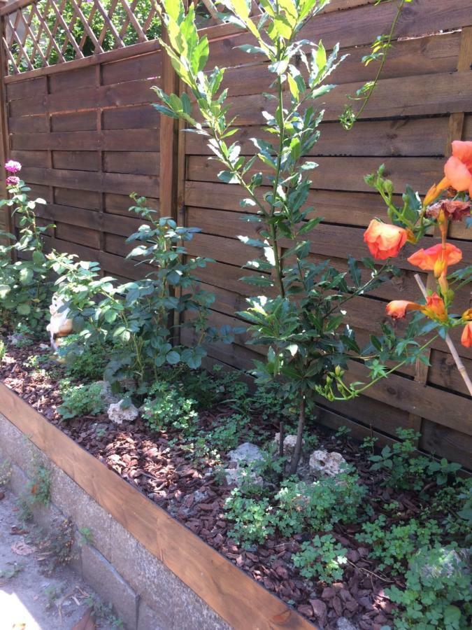 La Porta Nel Giardino Leilighet Asti Eksteriør bilde
